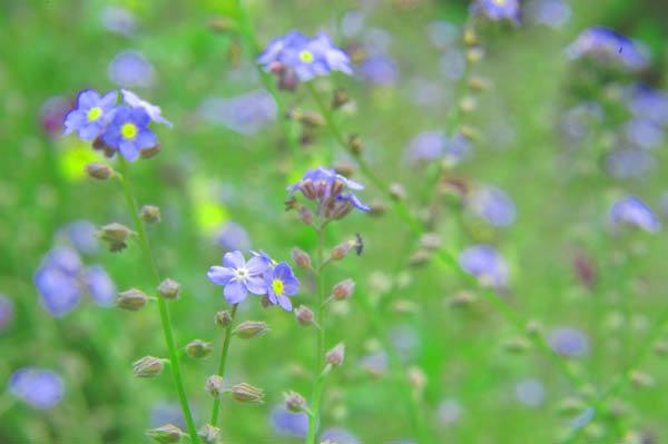 ��ҽ�����пƼ���